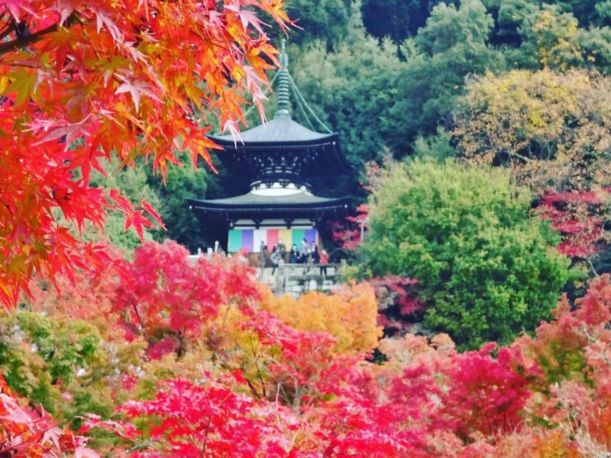 Yamamoto Ryokan Kjóto Exteriér fotografie